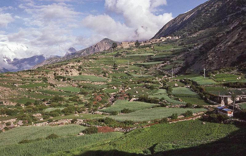 WT 1000 169-12 Nepal.jpg